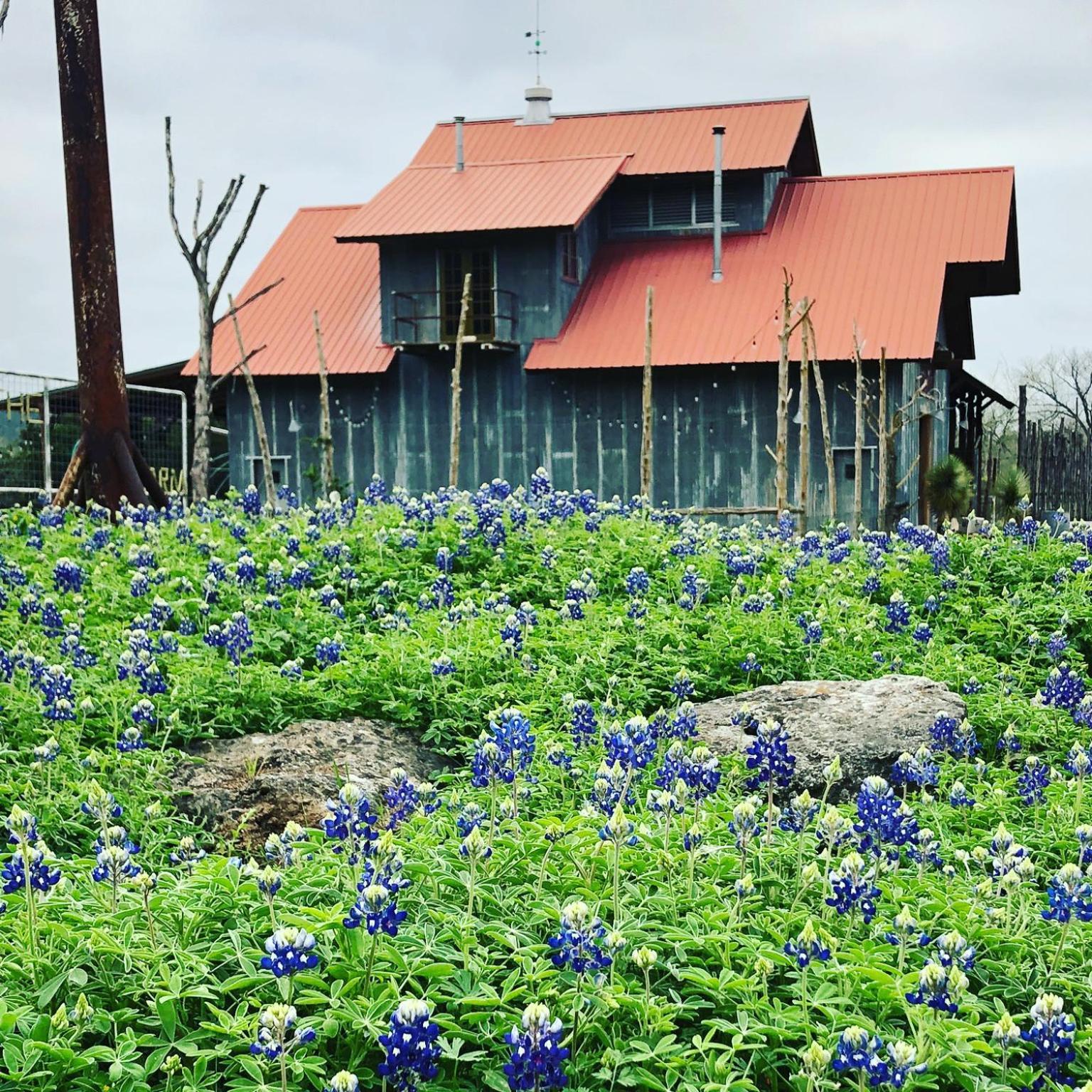 Montesino Ranch Lodging Villa Wimberley Luaran gambar